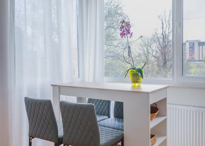 Appartement New With The View - 2bd Bright Flat Near Ndk *